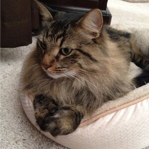 Live Show Flyer @beckgirls
July 6th at 3pm